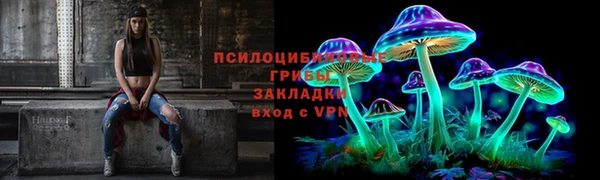 бошки Пестово
