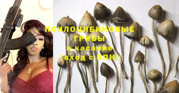 спиды Балахна