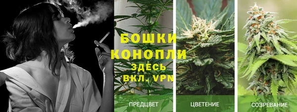 бошки Пестово