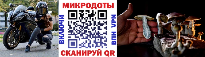 купить  сайты  hydra сайт  Псилоцибиновые грибы Cubensis  Бугульма 
